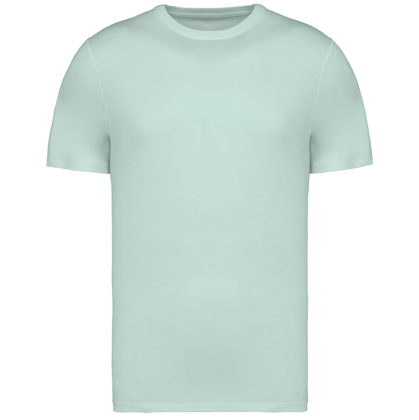 NS305 T-shirt unisex ecosostenibile  COLORATE
