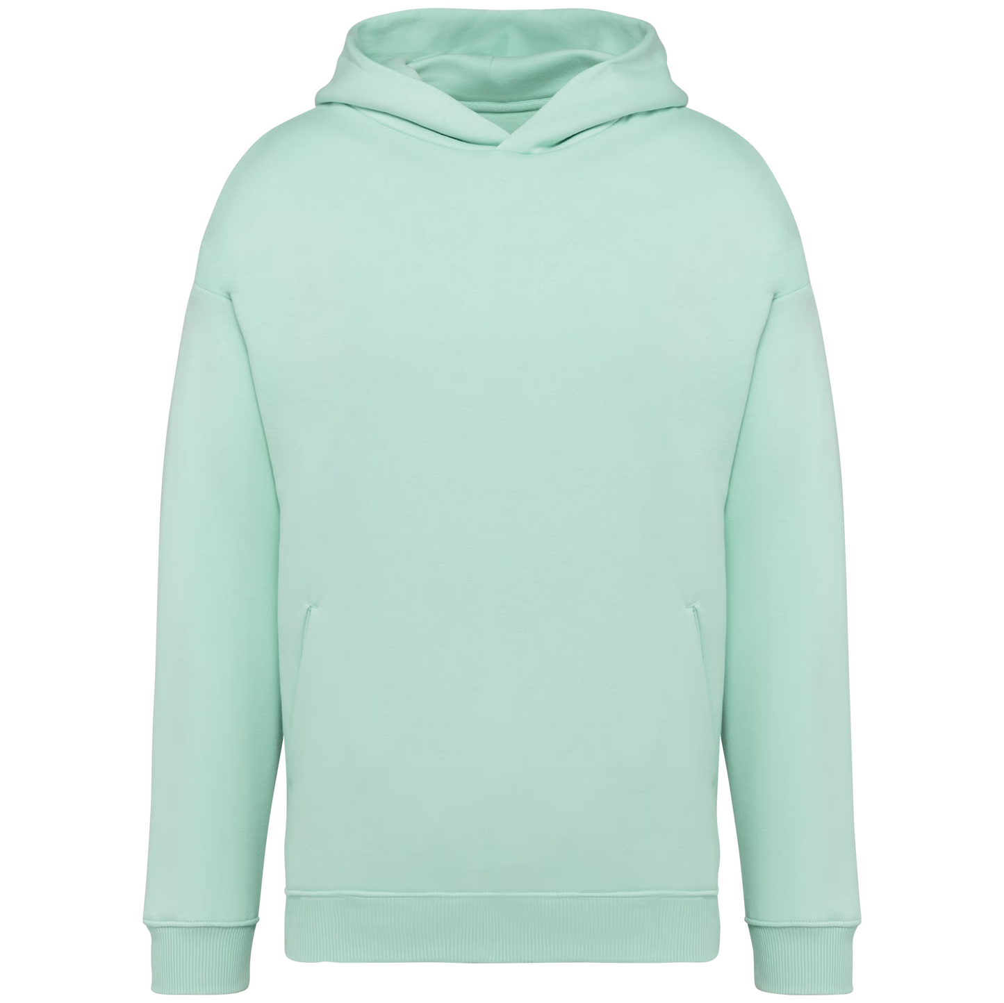 NS408 Felpa con cappuccio unisex oversize ecosostenibile COLORATE