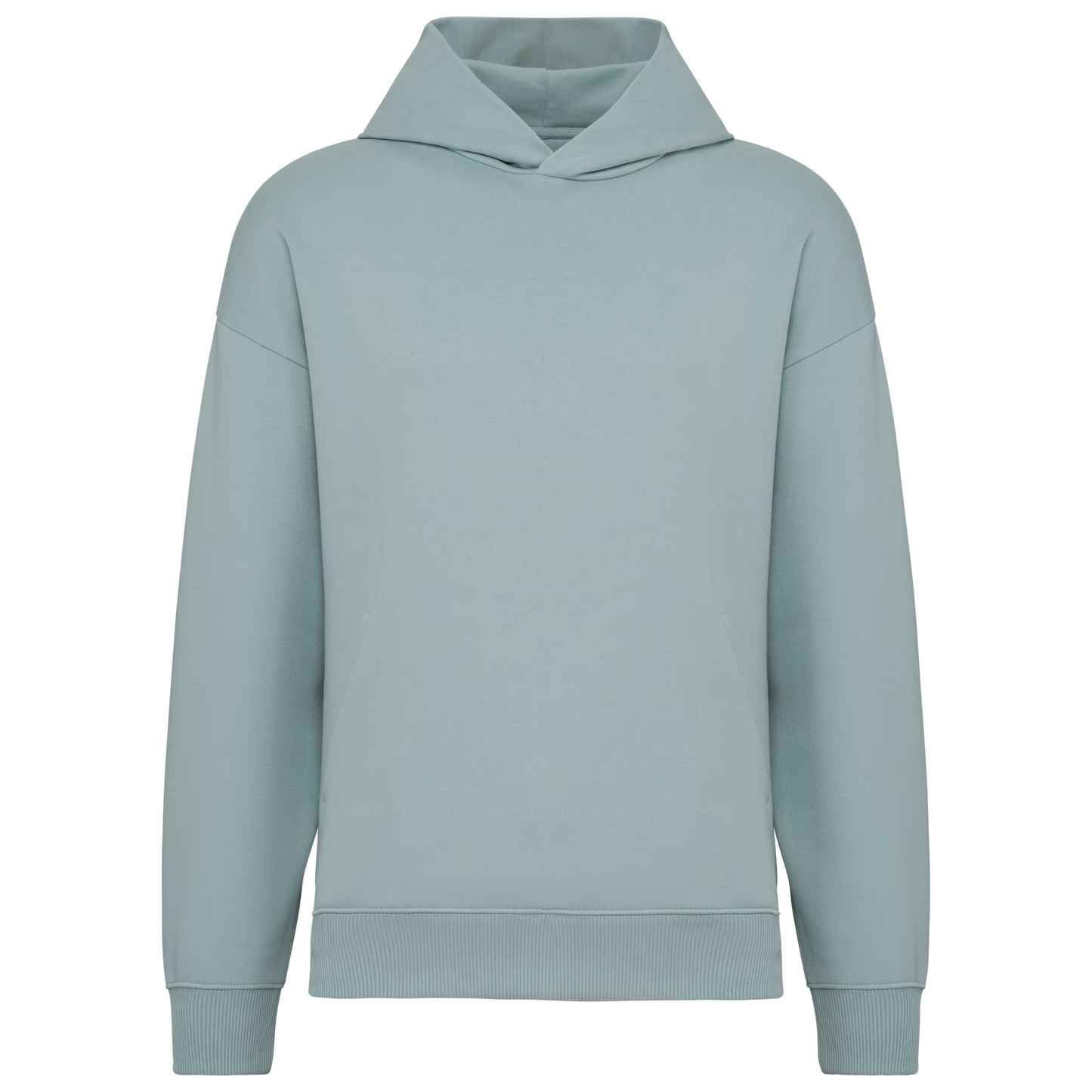 NS408 Felpa con cappuccio unisex oversize ecosostenibile COLORATE